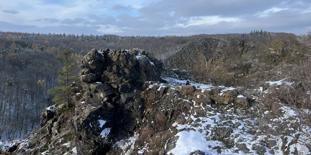 Activity cover picture